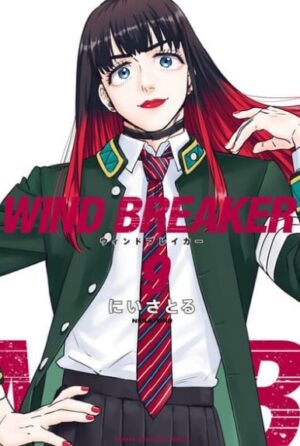 Windbreaker第9巻の表紙